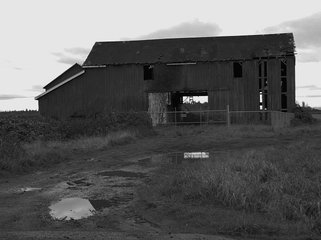 Barn Puddle BWI.jpg