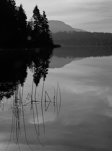 Lake w. Reeds.jpg