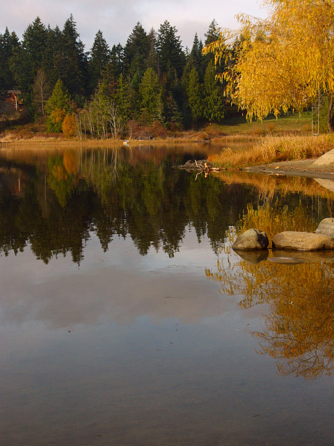Lake Scene P1360633.jpg