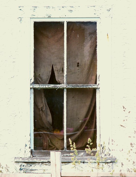 window 