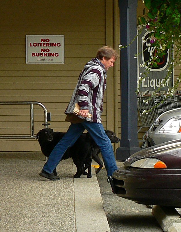 SCSCbuskingcol01.jpg