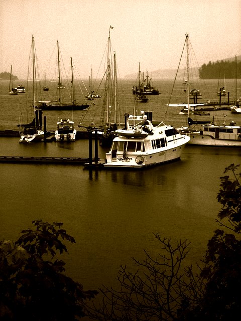 sepia harbour