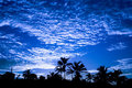 Morning blues