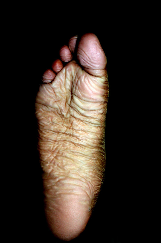 Bigfoot