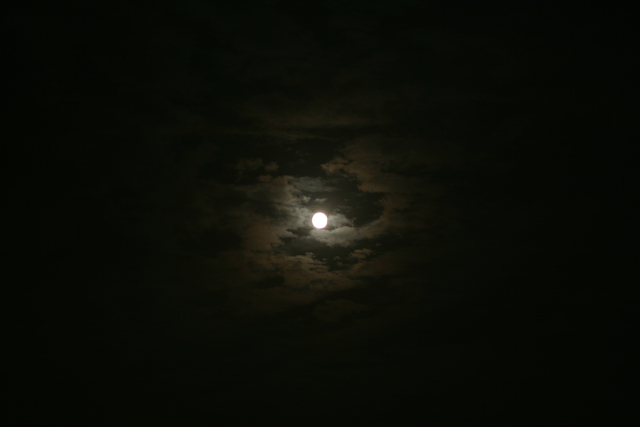moon1.jpg