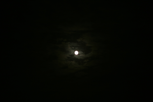moon2.jpg