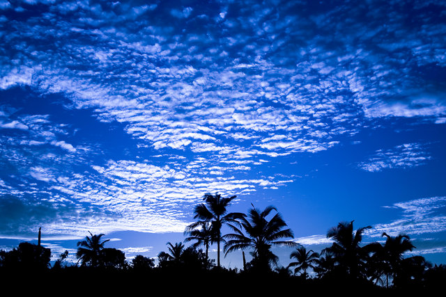 Morning blues