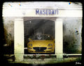 Maserati - Timeless
