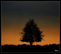 Standing Alone