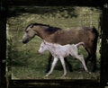 Mother & Son