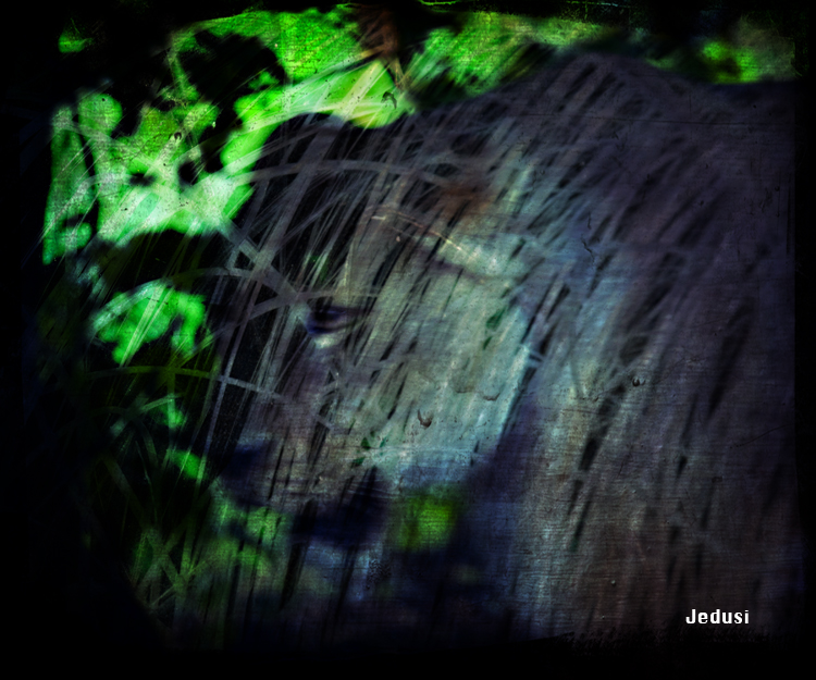 In the Shadows