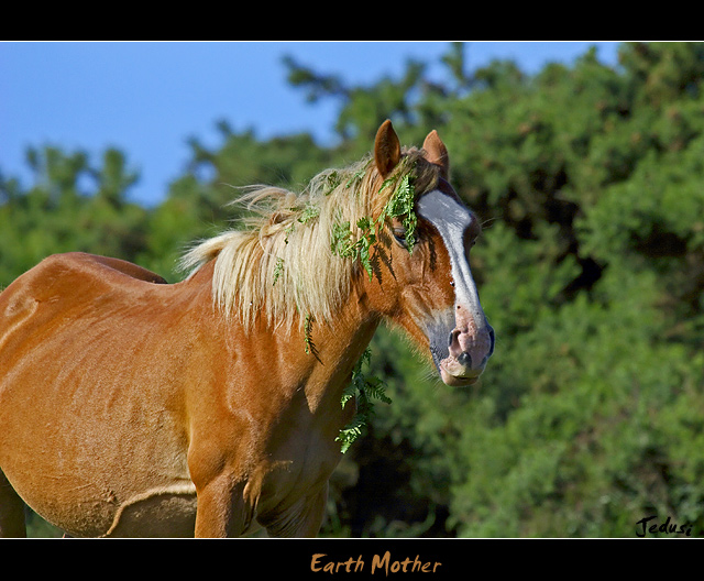 Earth Mother