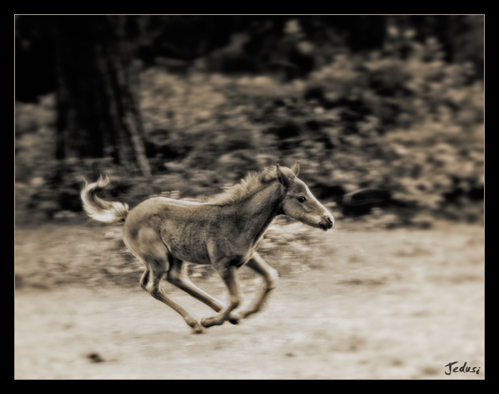 Running  . .