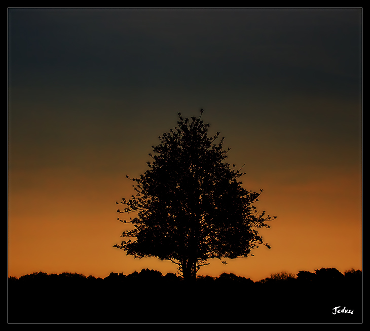 Standing Alone
