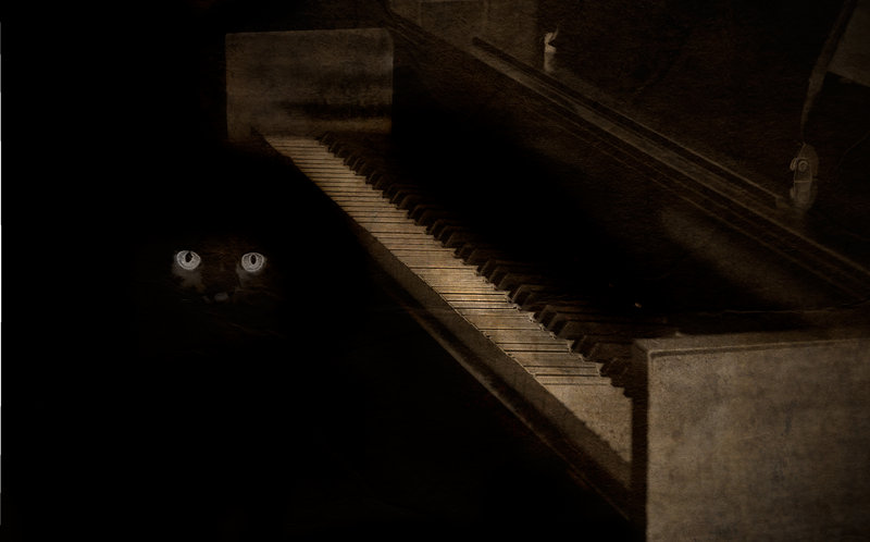 OminousCat.jpg