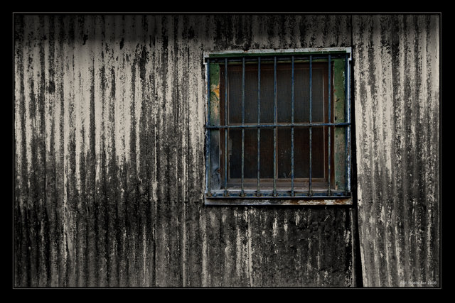 Window