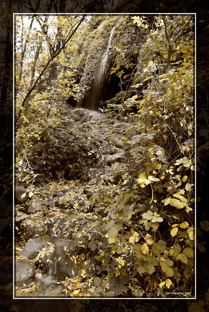 Fall