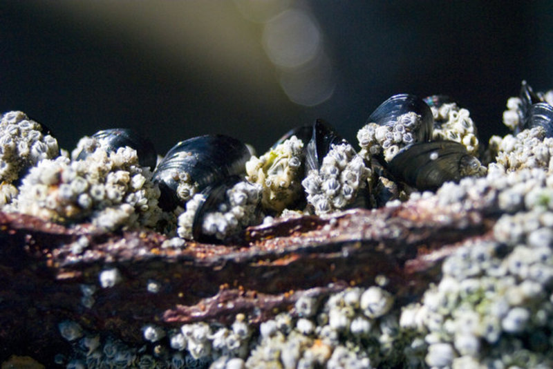 29849_CRW_7779.jpg