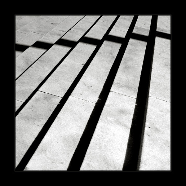 z'allusion