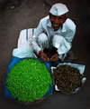 Bean Vendor