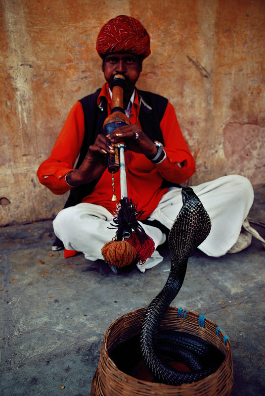 Cobra Charmer