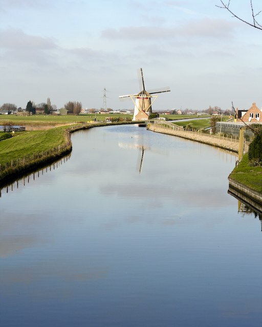 Windmill reflection