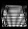 The Door