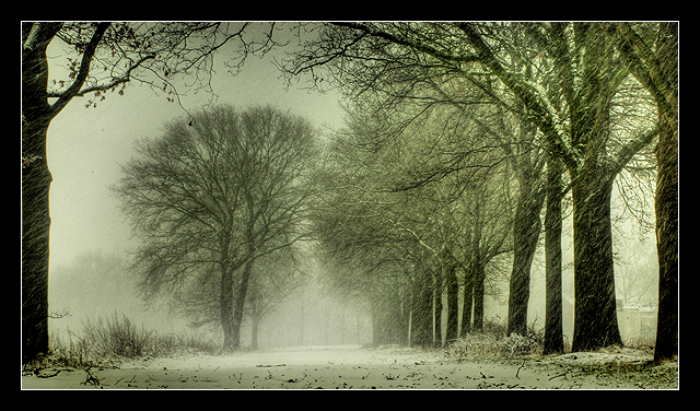 Going nowhere in the snowstorm.