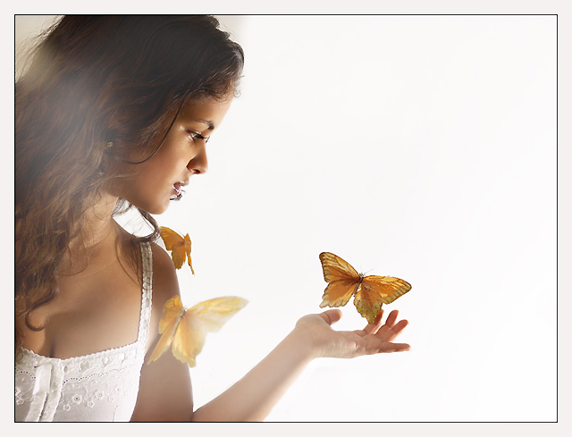 To catch a butterfly...