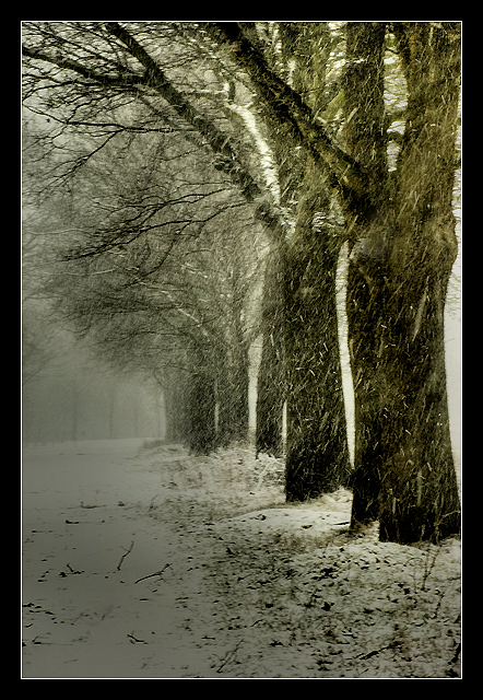 sneeuw4K.jpg