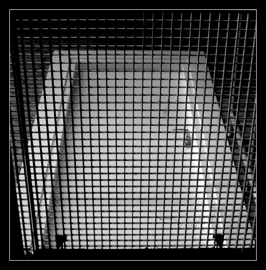 The Door