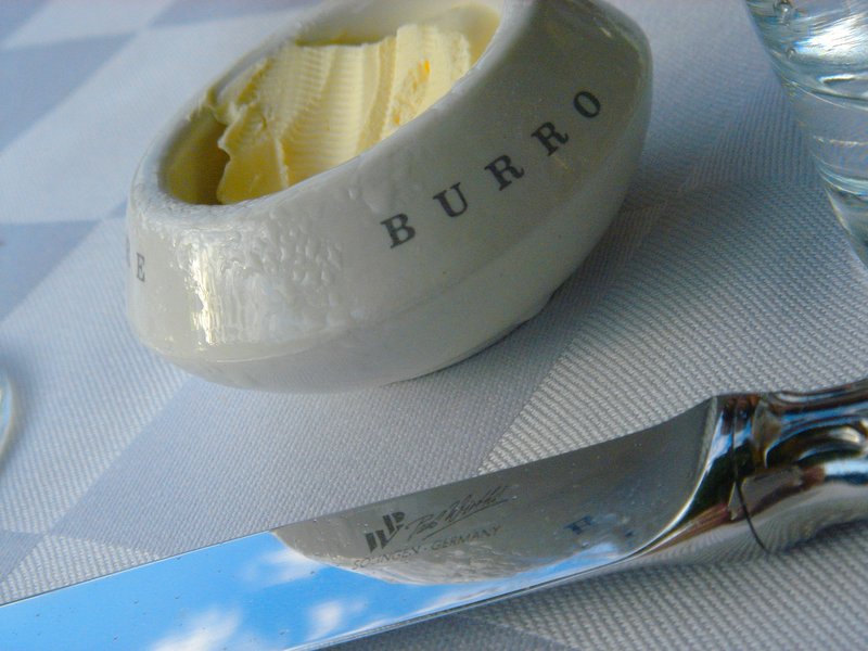 Burro