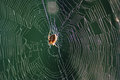 DSC00017-resized.jpg