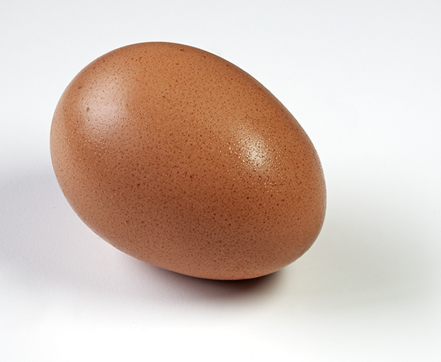 Day 12 Egg