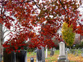 redtreecemetary copy.jpg