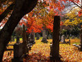 cemetary.jpg