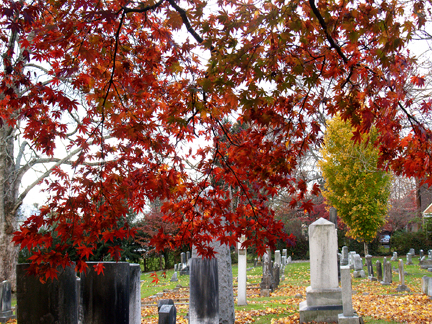 redtreecemetary copy.jpg