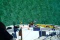 Big Swimming Pool.jpg