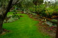 Garden Dream 2.JPG