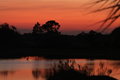 Heron Afterglow.jpg