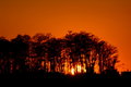 Sunset 2 18 07.JPG