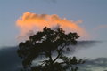 DSCF2643-2.jpg