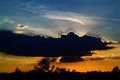 Florida Gator Sunset