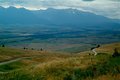 Where the Buffalo Roam