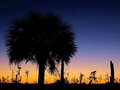 Another Tropical Sunset 6