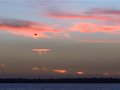 Another Tropical Sunset 13