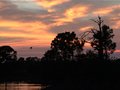 Fishing Trip