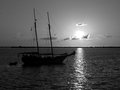 DSCF4685_4.jpg