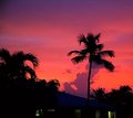 Sailor's Delight