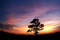 Another Tropical Sunset 47